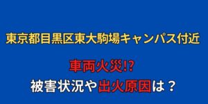 【動画】東京都目黒区東大駒場キャンパス付近で車両火災！？原因や被害状況まとめ！
